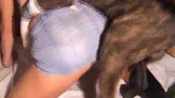 Voluptuous housewife relishes solo intimacy at home with her pet