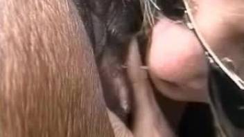 Blondie gets a huge horse dick in her tight vagina