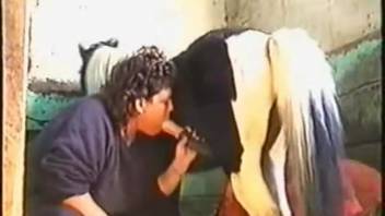 Extreme bestiality with horses captured on video