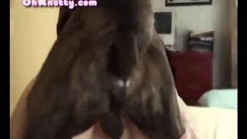 Bitch gets the dog to smash her vag in crazy zoo scenes