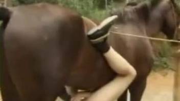 Tight females working the horse cock in amazing xxx