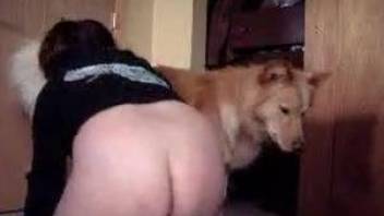 Insane scenes of dog porn with a horny woman