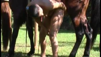 Sexy babe handles the massive stallion cock right into her pussy