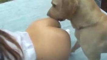 Japanese chick nicely sucks her lovely doggy in close-up