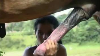 Toned hottie with small tits is sucking a huge horse penis
