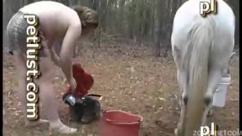 Incredible barnyard bestiality porn featuring filthy dudes and their stallions