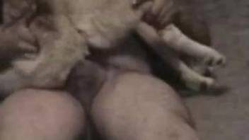Dirty owner impaled his own doggy in a tight anal hole