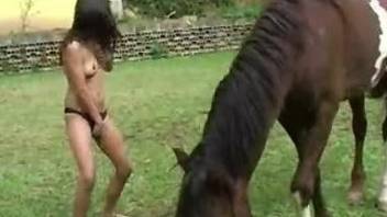 Slender Latina gives her horse a very hot and passionate blowjob