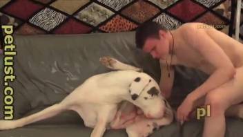 Perverted fucker drills his white doggy in the asshole