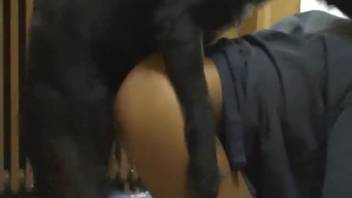 Slim youthful dark-haired girl with a highly frisky ebony canine