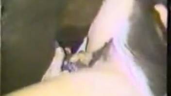 Chestnut stallion elegantly drills a steamy harlot in retro animal sex porn