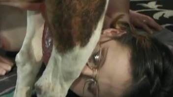 Nerdy librarian sucks her doggy's dick with passion