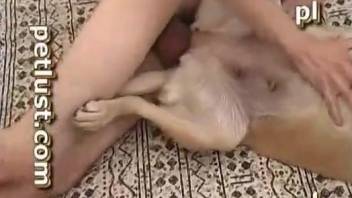 Stunning doggy gets nailed in the missionary pose