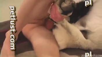 Fantastic spotted pooch relishes dirty animal sex with her owner