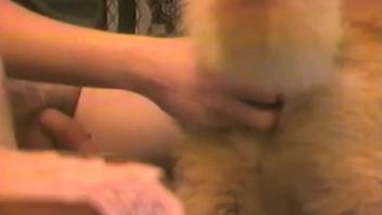Impressive hairy doggy impaled a horny owner in close-up