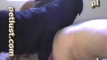 Awesome-looking black dog fucks a horny owner in the mouth