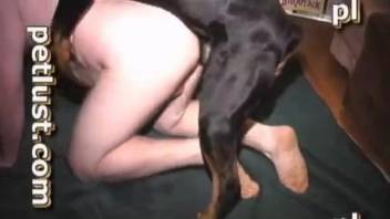 Dog porn XXX with a dick-sucking male and his black dog