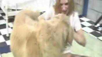 Cheerful white pup screws a horny chick in a white blouse