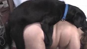 Black dog gets to fuck that dripping pussy up close