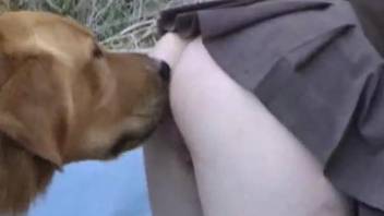 Dog humps blonde whore and cums in her mouth