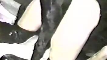 Expertly trained ebony dog receives an exceptional blowjob from a stunning blonde vixen