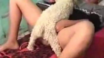 Sexy hairy doggy nicely licks and fucks pussy of a toned zoophile