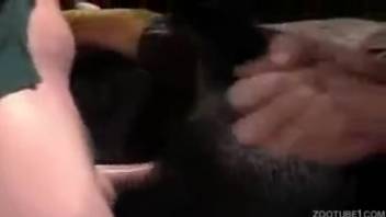 Homemade footage of intense bestiality porn featuring a narrow horse