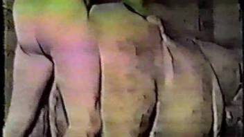 Savage homemade horse bestiality footage depicting a guy anally penetrating the animal