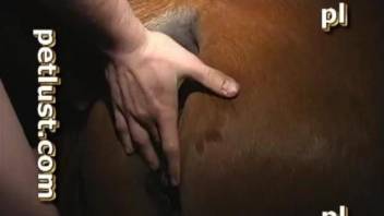 Naked man filmed when deep fucking female horse in brutal modes