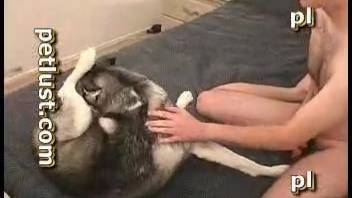 Guy roughly screws his dog in savage styles before ejaculating into its mouth