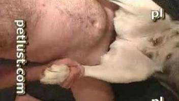 Man fucks his dog in brutal modes then cums in its mouth