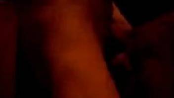 Midnight animal porn scenes on hidden cam with amateurs