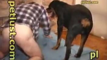 Grimy clips of intense bestiality featuring a man suffering savage anal from his dog