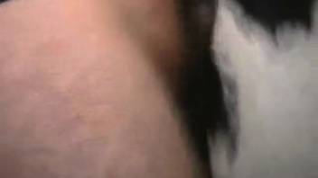 Heavenly heifer was sweetly fucked doggy-style by the filthy rancher