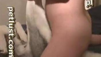 Man fuck and creampie dog