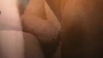 Skilled bestiality practitioner penetrates his chestnut mare from behind in doggy position