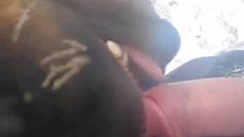 Observe as an adorable youthful equine performs fellatio on me from a first-person view