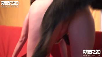 Intense clips of savage canine bestiality in homemade amateur footage