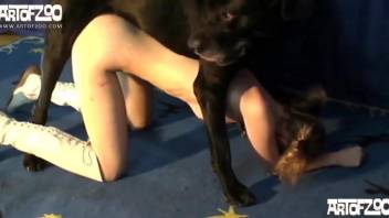 Teen with huge tits ass fucked by the dog