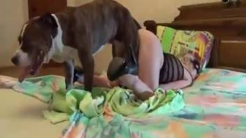 Authentic homemade canine porn for the solitary housewife in heat