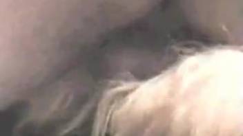 Filthy guy screwed his incredible female pup in the missionary position