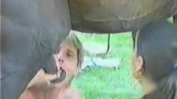 Pair of whores deliver dual blowjob to a stud