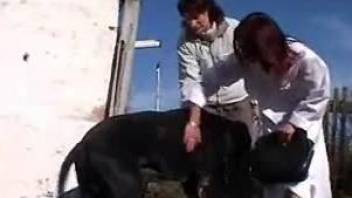 Girl and dog outdoor sex