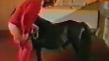 Dark-haired mature lady fucked by a black dog from behind
