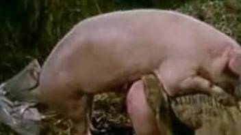 Pig fucked my slender ex-girlfriend in the filthy hayloft