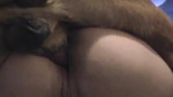 Mature pale lady gets licked and ass-fucked by a dog