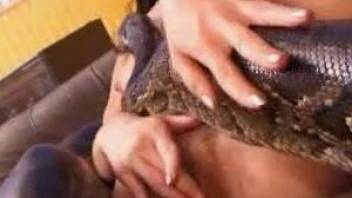 Sexy brunette massages pussy with slick python on her body