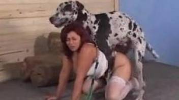 Hot Latina leaves dog to stick his dick into her warm pussy