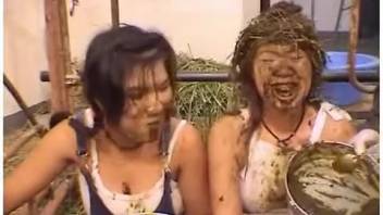 Oriental harlots in filthy equine feces consumption scat erotica