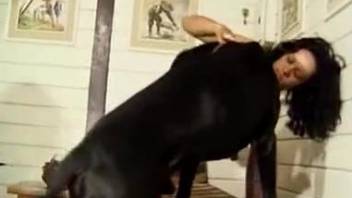 Brazilian chicks experiment in sex together with dogs and horses